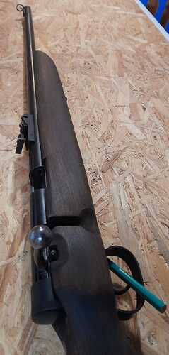 IMG-20250513-WA0004